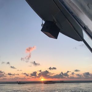 Meet your Posher, Lily